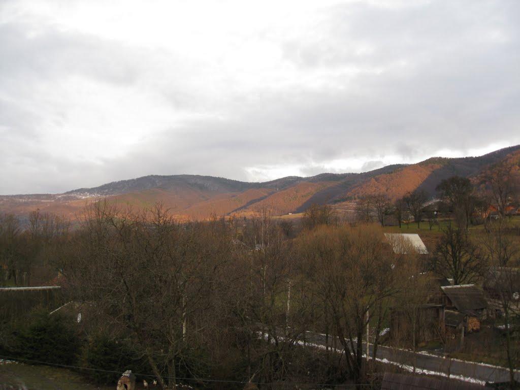 Вишка з panoramio.com - Вышка