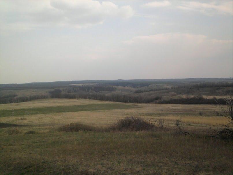 Березівка з panoramio.com