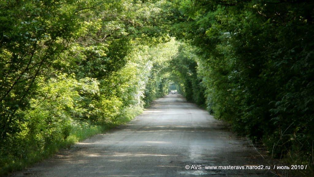 Кузьминівка з panoramio.com - Кузьминовка