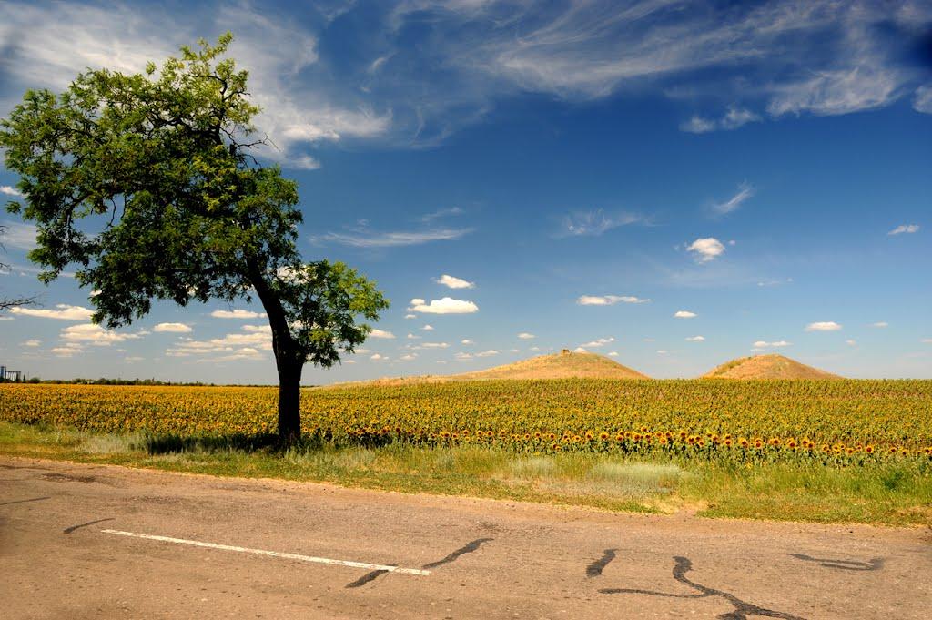 Новоолександрівка з panoramio.com - Новоолександрівка