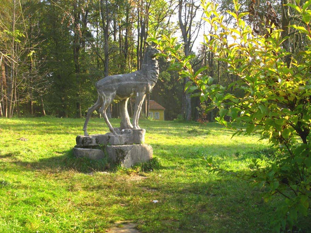 Карпати з panoramio.com - Карпаты