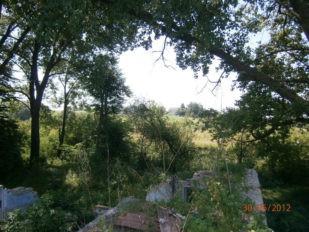 Берездівці з panoramio.com - Berezdivtsi