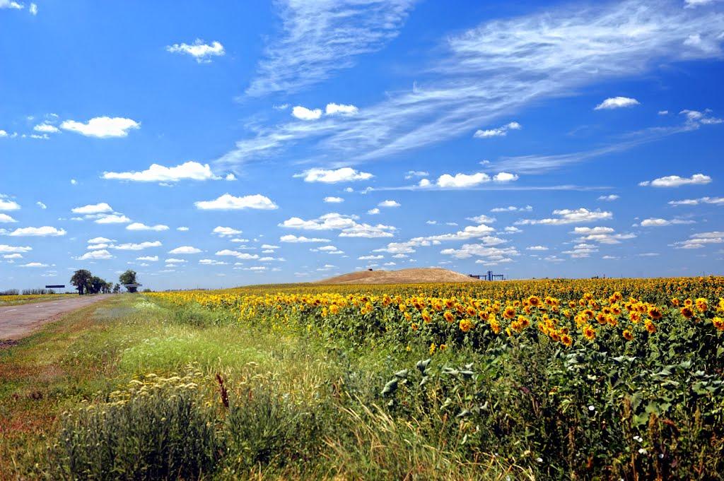 Новоолександрівка з panoramio.com - Новоолександрівка