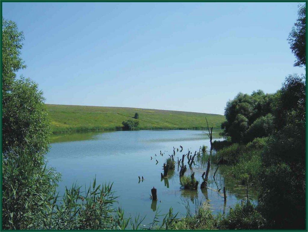 Стрілеча з panoramio.com - Strilecha