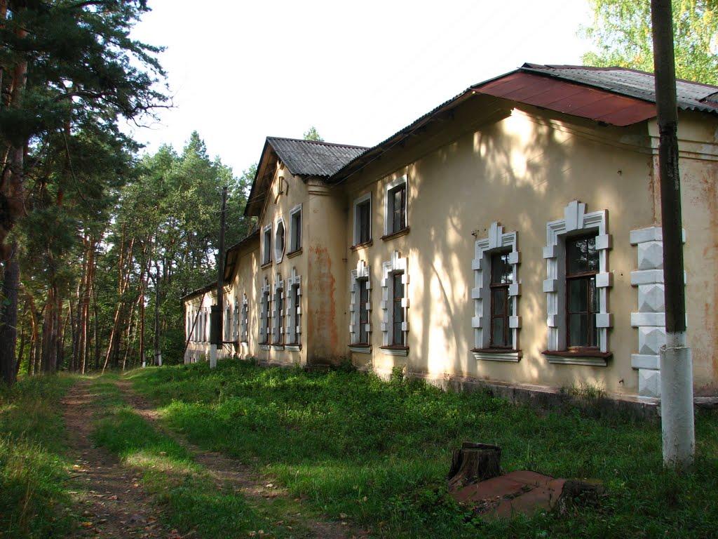 Сорокове з panoramio.com - Сороково