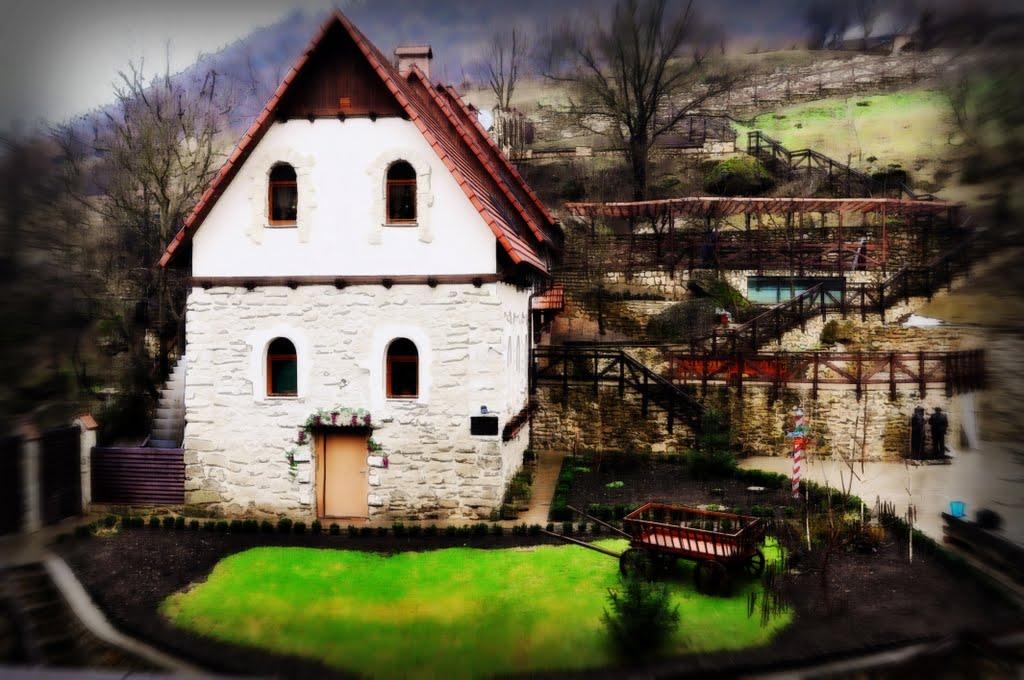 Олексіївка з panoramio.com - Алексеевка