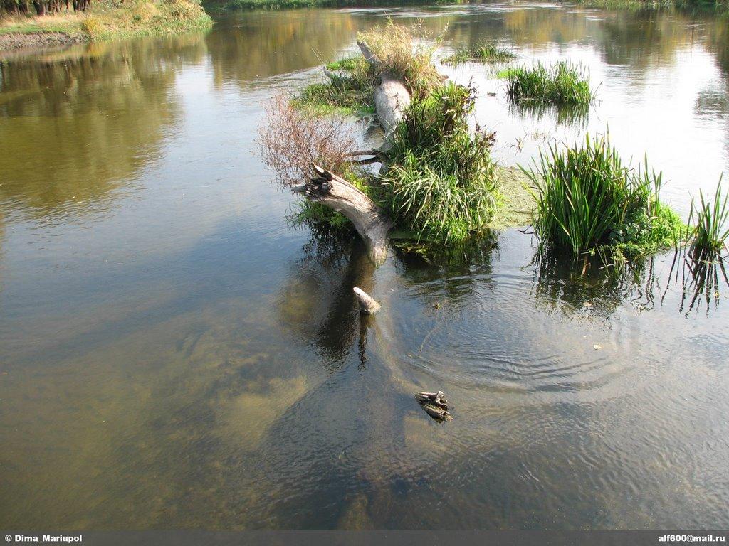 Левківка з panoramio.com - Левківка