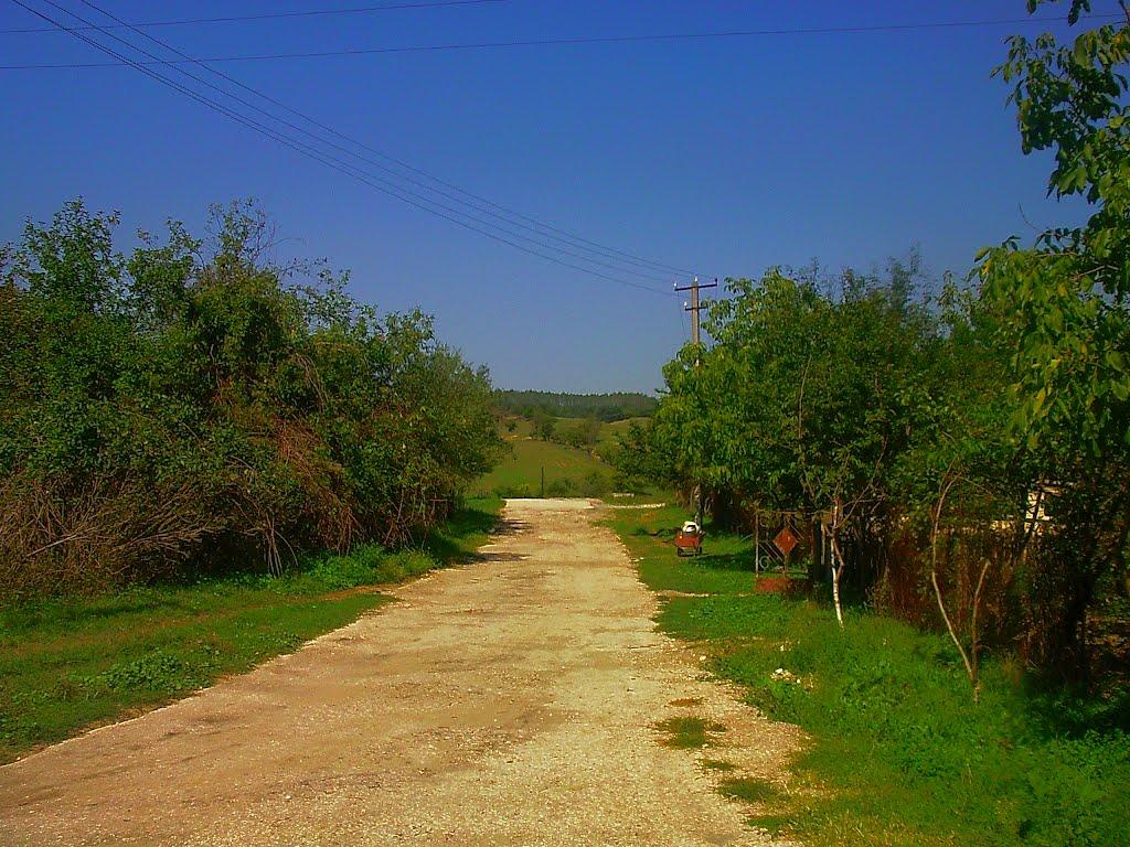 Плотинне з panoramio.com - Плотинне