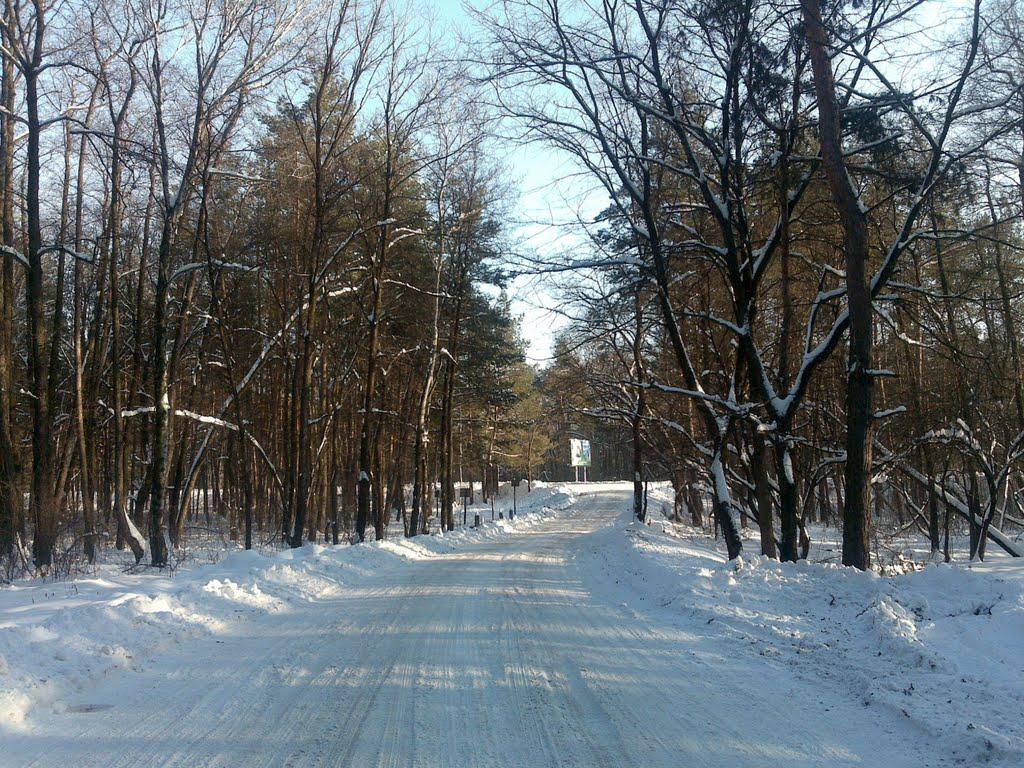 Богородичне з panoramio.com - Богородичное