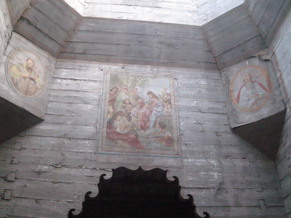 Біловежі Перші з panoramio.com - Біловежі Перші