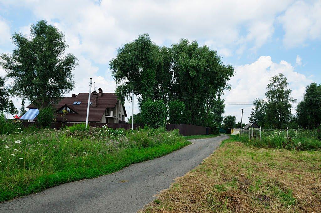 Вишеньки з panoramio.com - Вишеньки