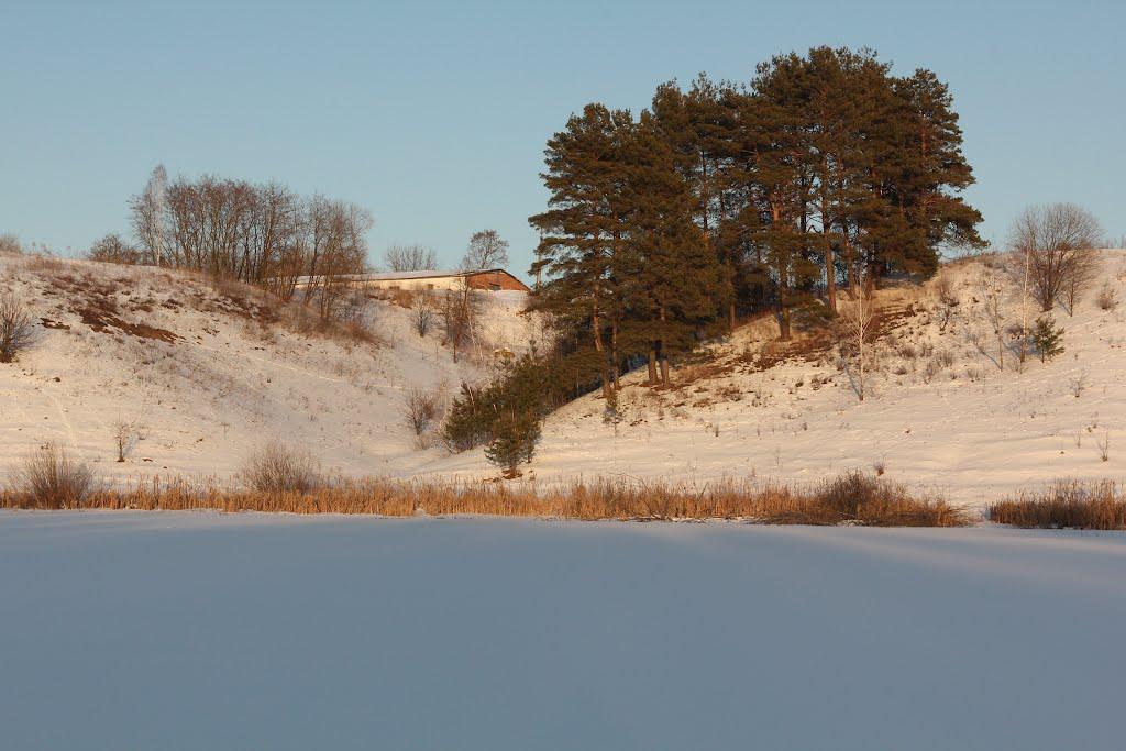 Буйвалове з panoramio.com - Буйвалове