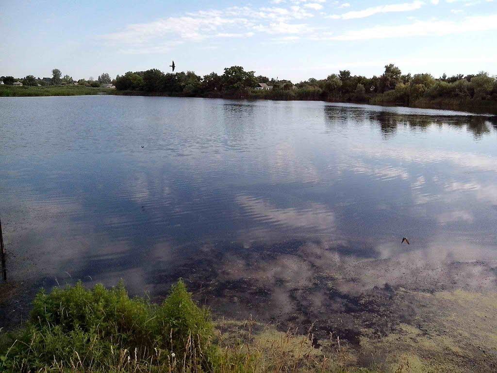 Устивиця з panoramio.com - Устивица