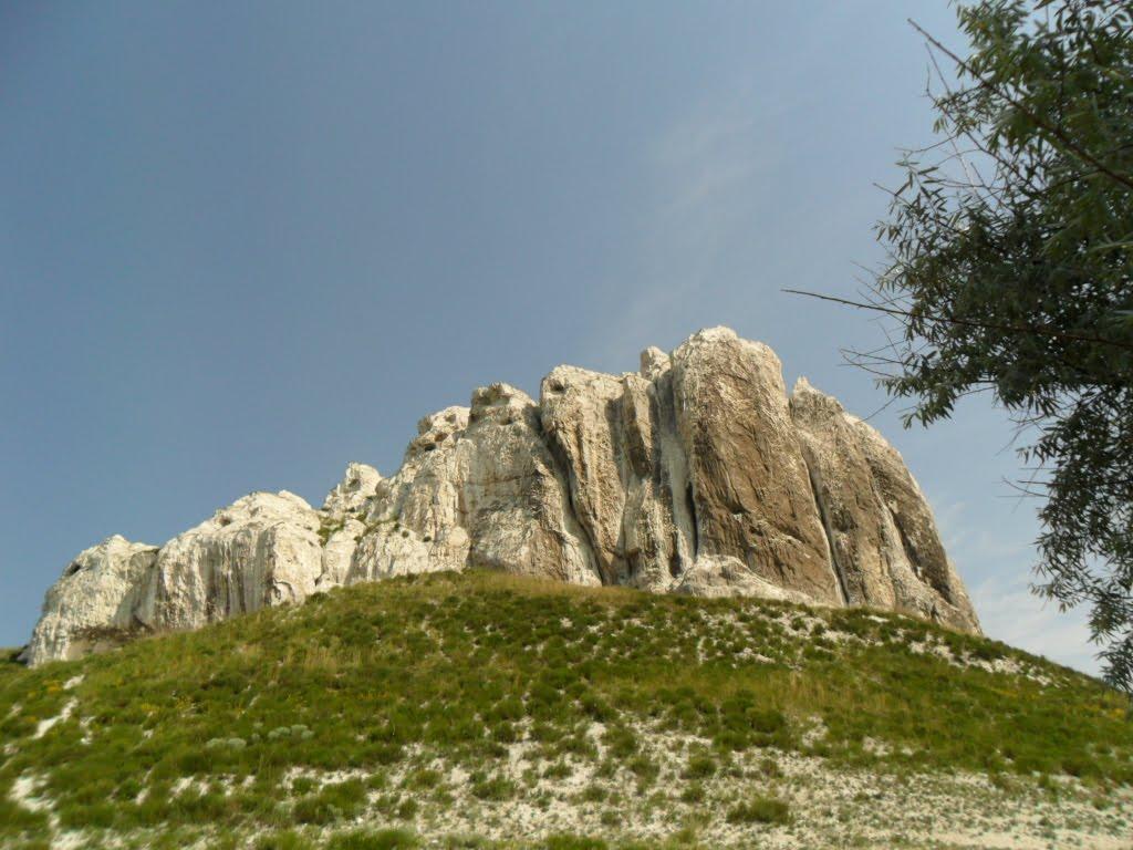 Білокузьминівка з panoramio.com - Білокузьминівка