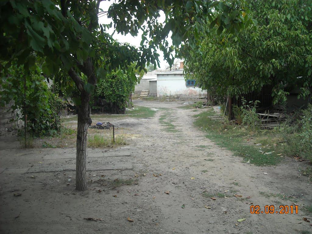 Серпневе з panoramio.com - Серпневое