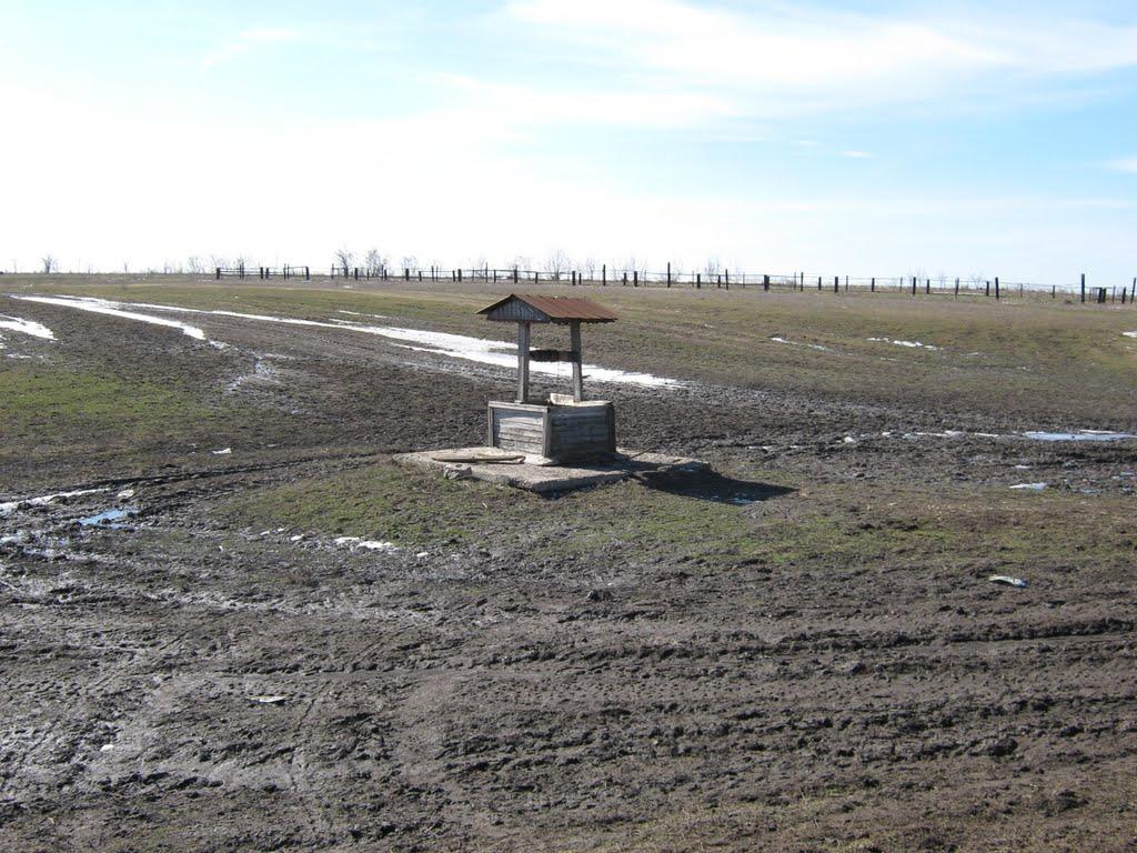 Новопалівка з panoramio.com - Новопалівка