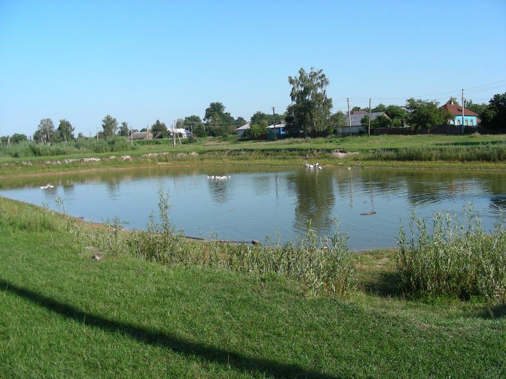 Вертіївка з panoramio.com - Вертіївка