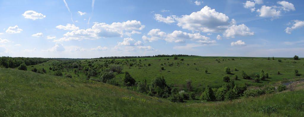 Новогригорівка Друга з panoramio.com - Новогригорівка Друга