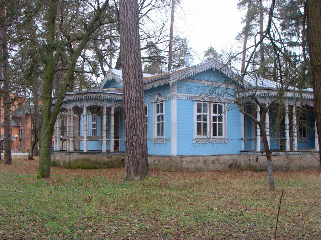 Горенка з panoramio.com - Горенка