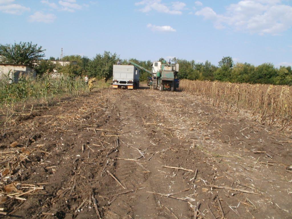 Доманівка з panoramio.com - Доманевка
