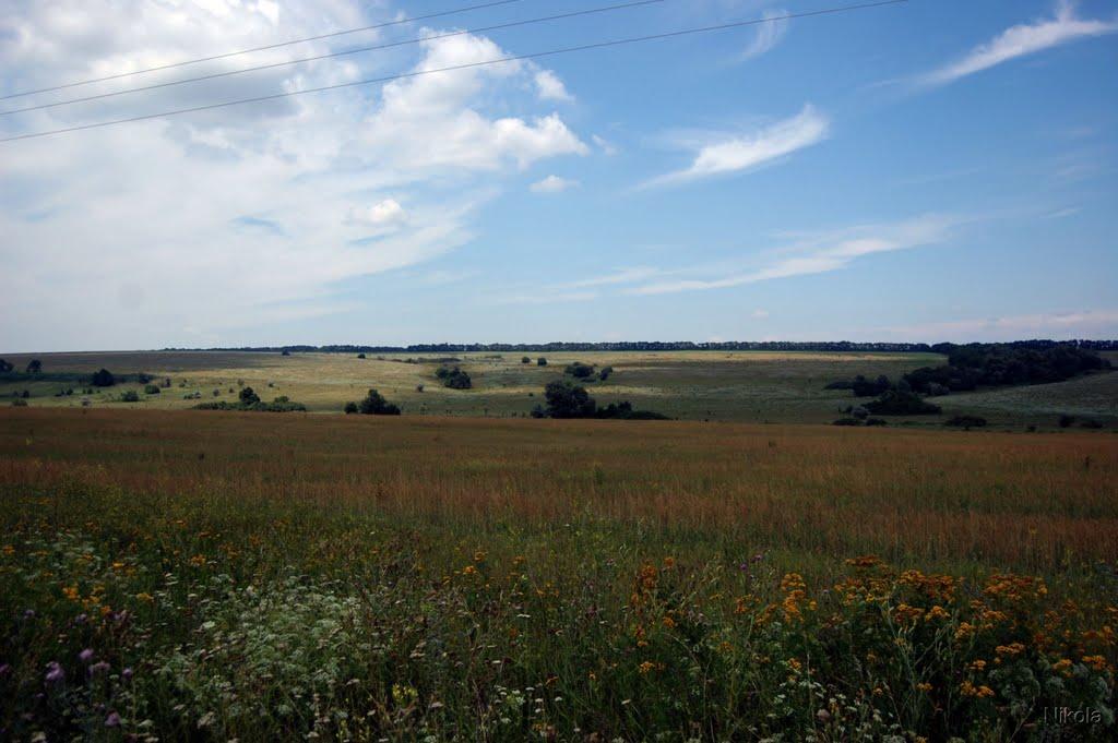 Гаврилівка з panoramio.com - Гаврилівка