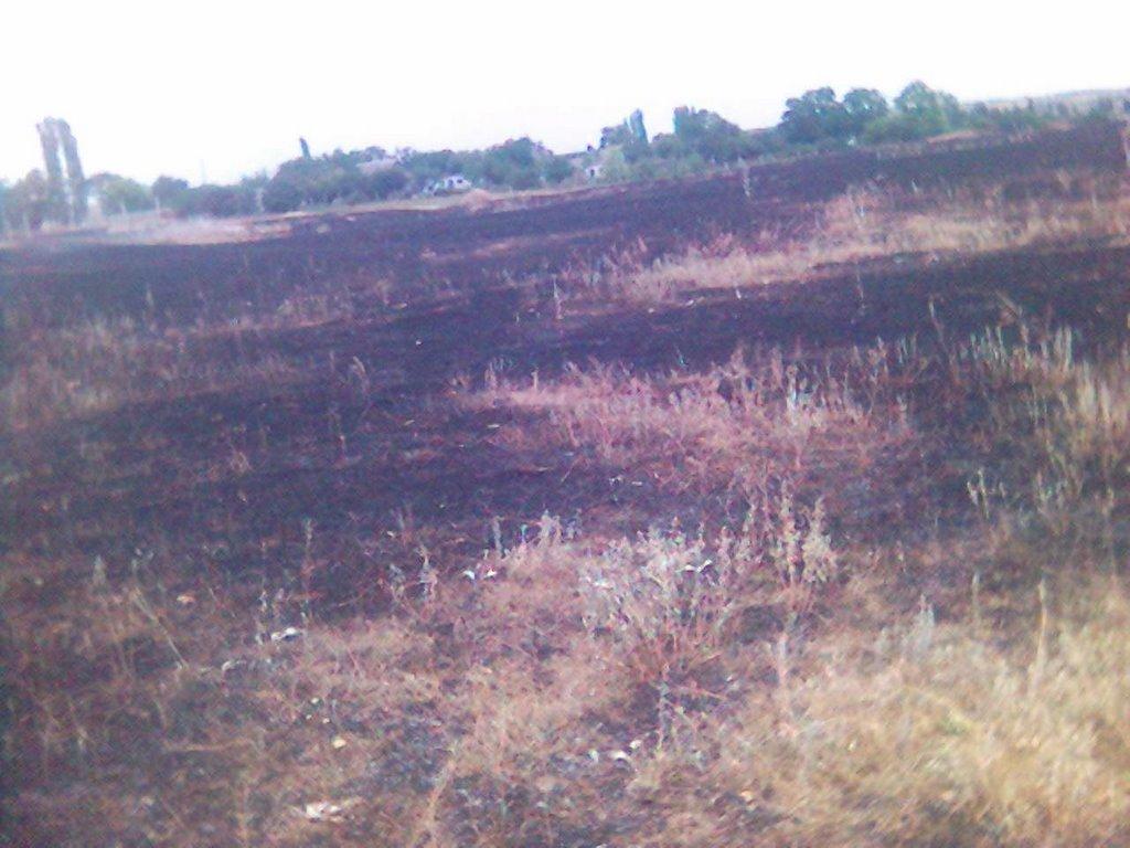 Козирка з panoramio.com - Козирка