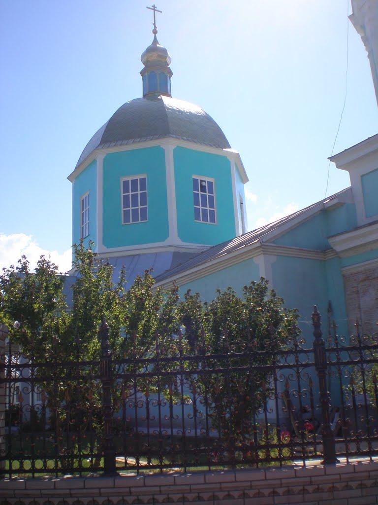 Вилкове з panoramio.com (ч.2) - Vylkove