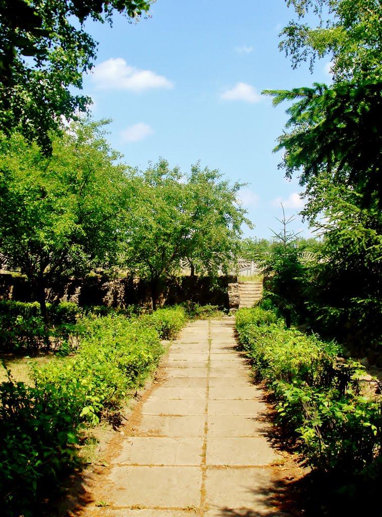 Неморож з panoramio.com - Неморож