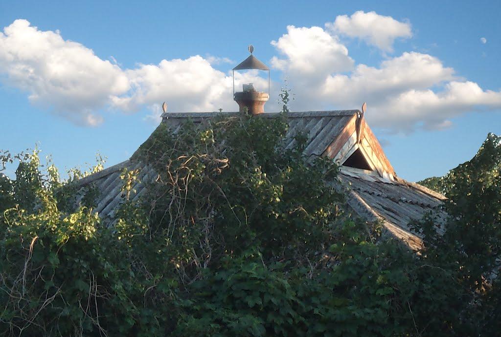 Могилів з panoramio.com - Могилев