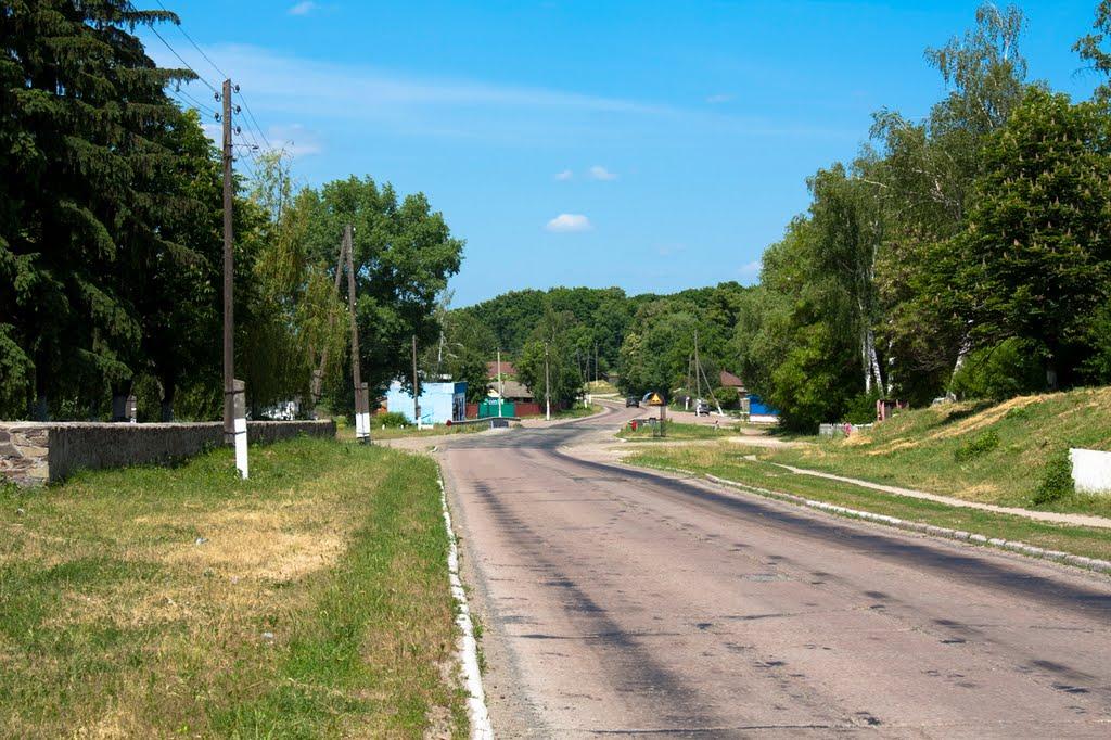 Митченки з panoramio.com - Митченки