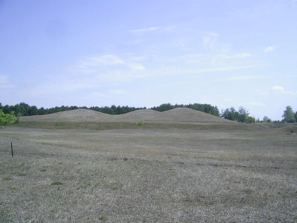 Асканія-Нова з panoramio.com - Askaniya-Nova