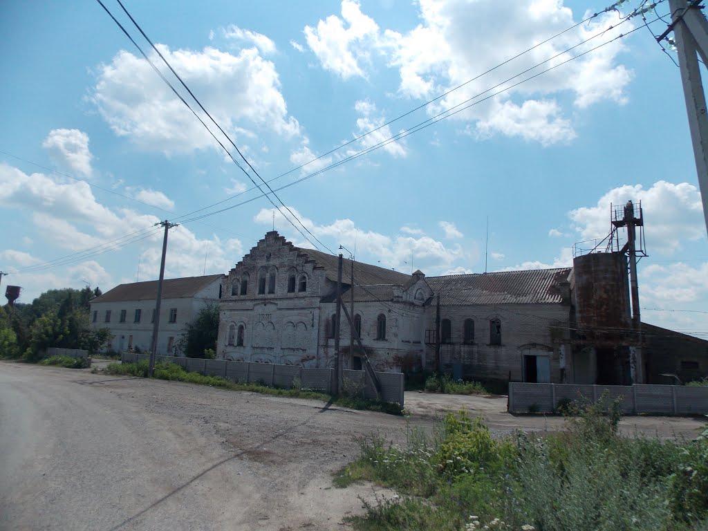 Дашів з panoramio.com - Dashiv