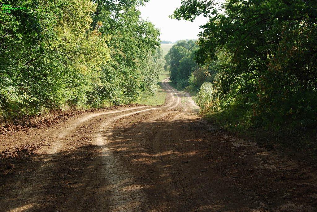 Батьки з panoramio.com - Батьки