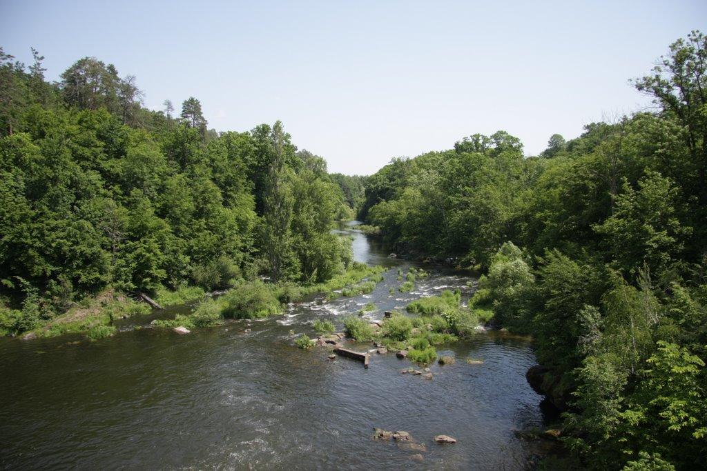 Буки з panoramio.com - Buky