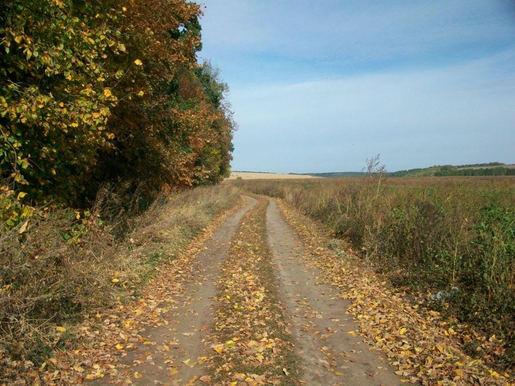 Гарбузин з panoramio.com - Гарбузин