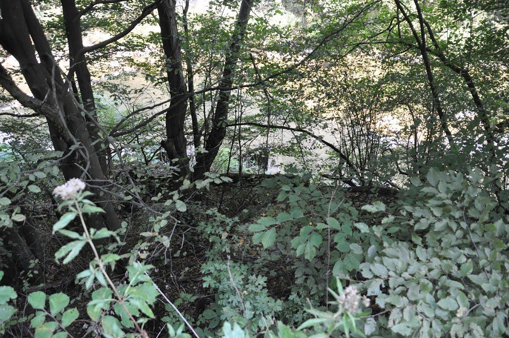 Княгиня з panoramio.com - Княгиня