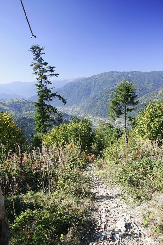 Лопухів з panoramio.com - Лопухов