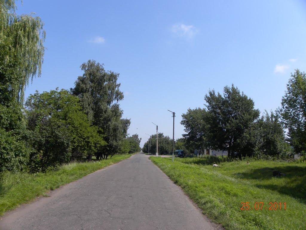 Вереміївка з panoramio.com - Веремиевка
