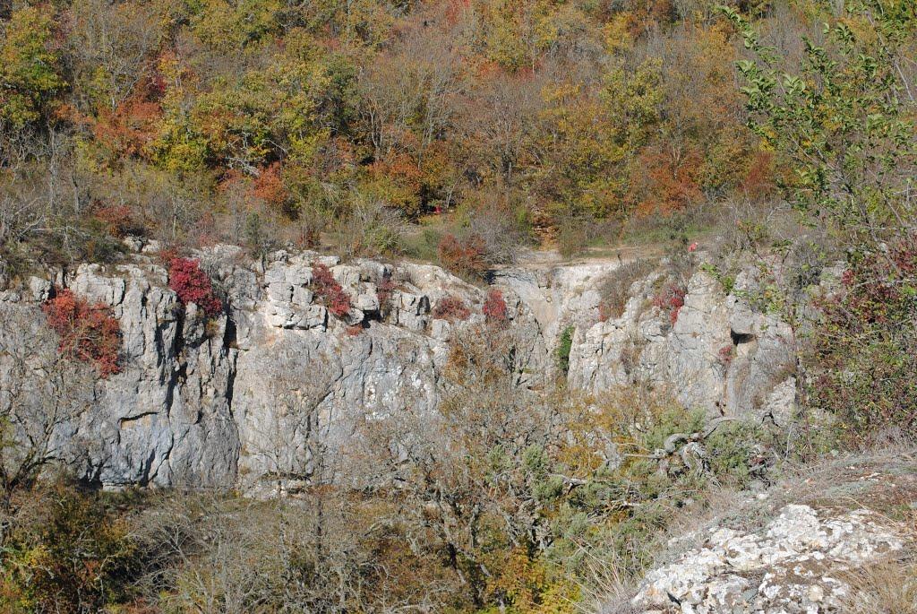 Колхозне з panoramio.com - Колхозное