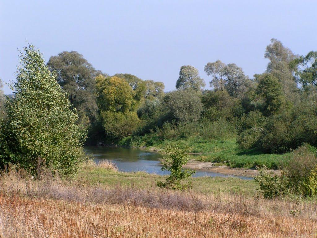 Гуща з panoramio.com - Гуща