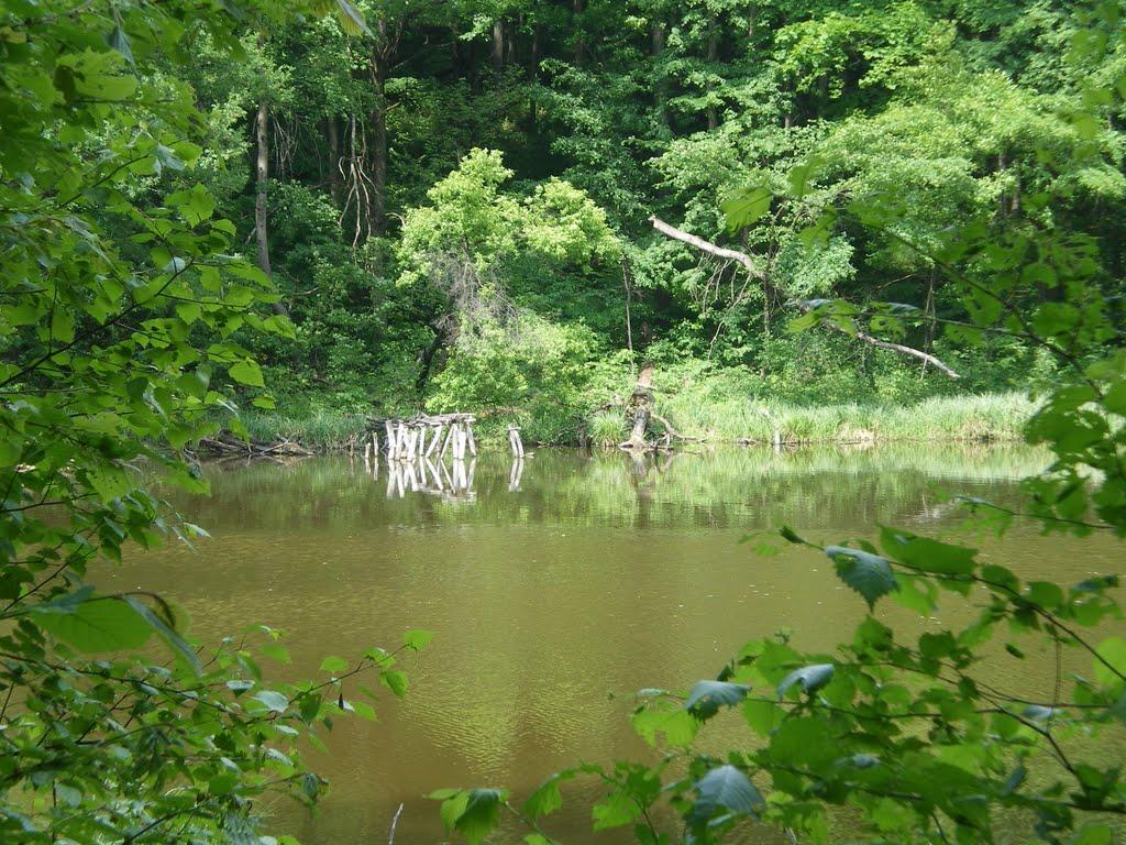 Доброславівка з panoramio.com - Доброславівка