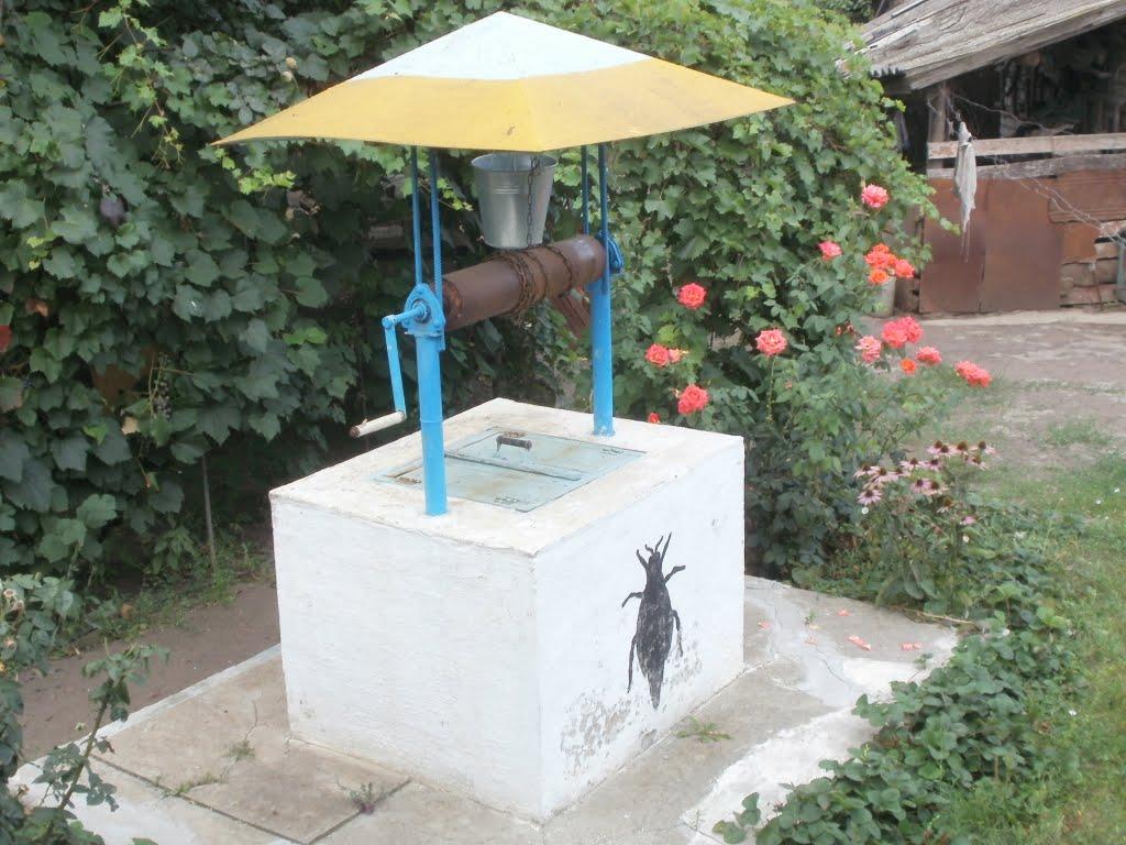 Доманівка з panoramio.com - Доманевка