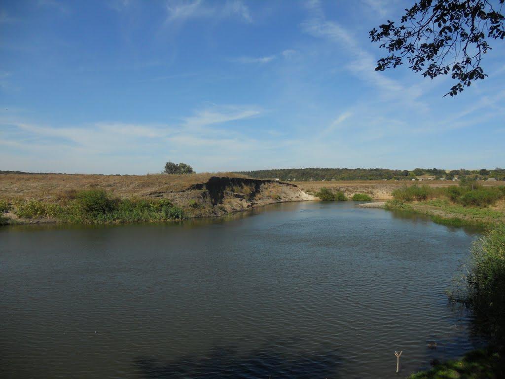 Підлісне з panoramio.com - Pidlisne