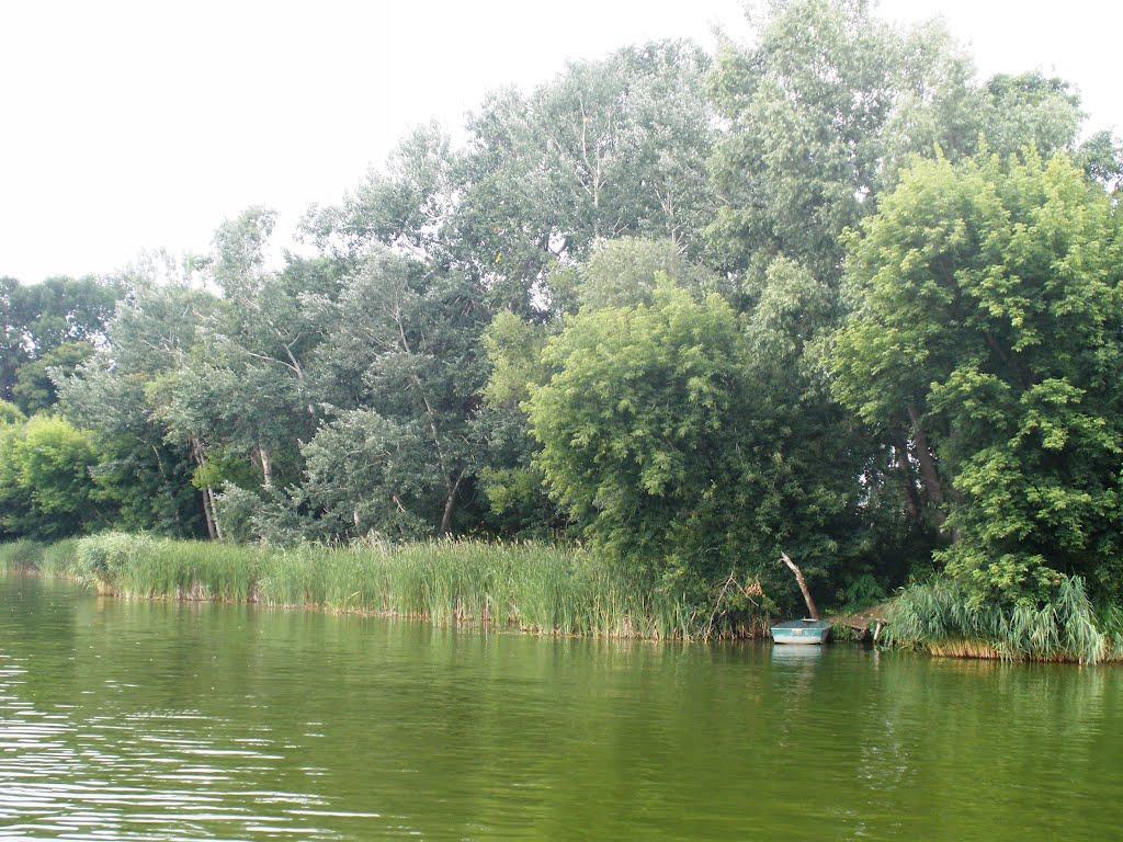 Сокільча з panoramio.com - Сокільча