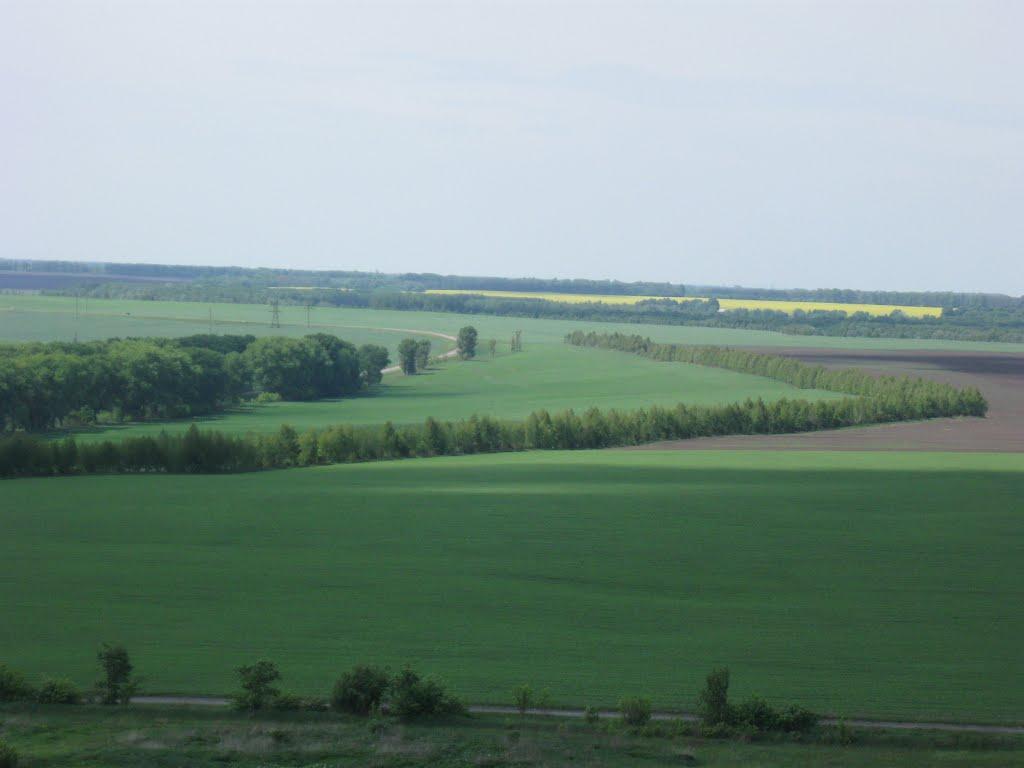 Карабутове з panoramio.com - Карабутове