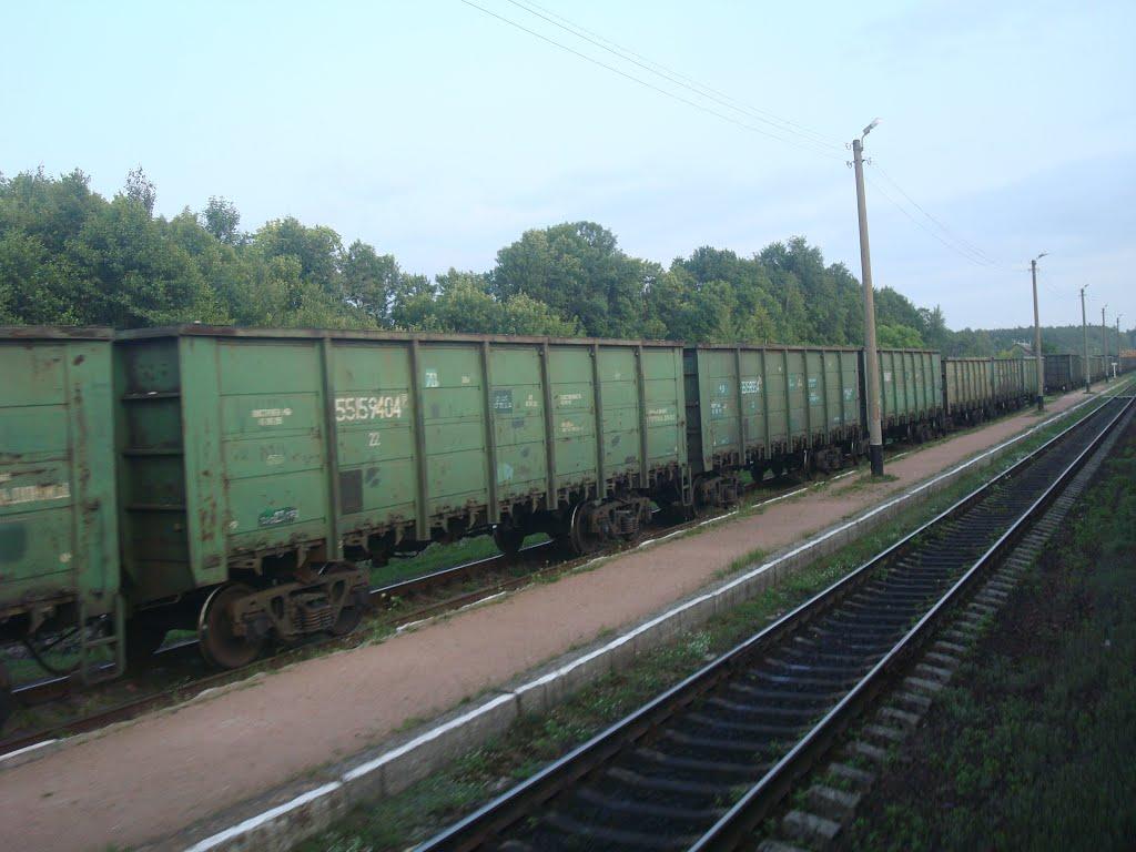 Першотравневе з panoramio.com - Першотравневе