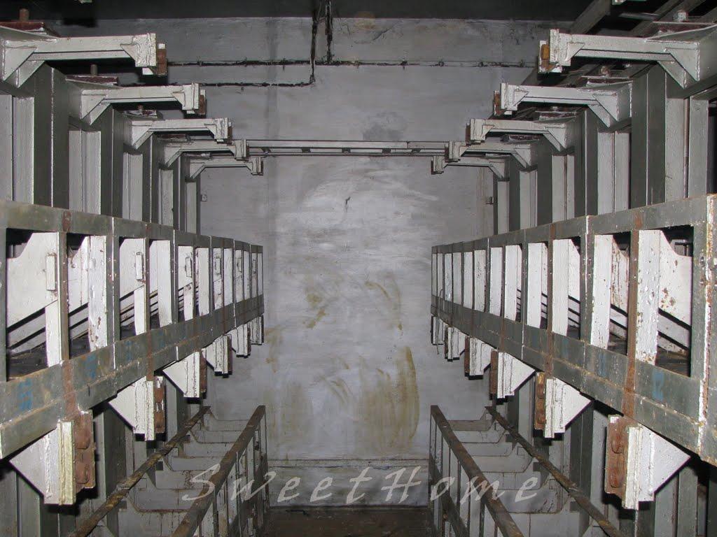 Міжгір'я з panoramio.com - Міжгір'я