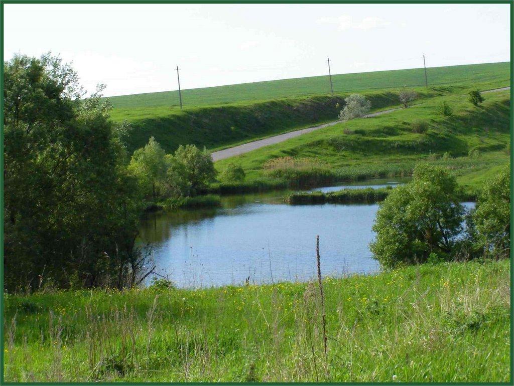 Стрілеча з panoramio.com - Strilecha