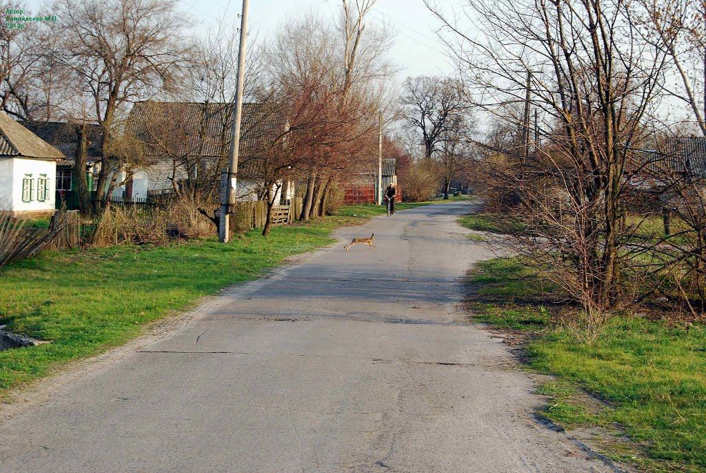 Хорішки з panoramio.com - Хорошки