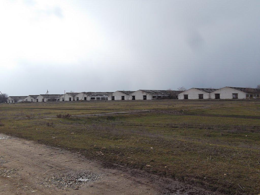 Нова Кам'янка з panoramio.com - Нова Кам'янка